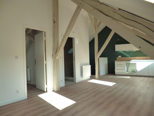 appartement 2 pièces - PONTOISE