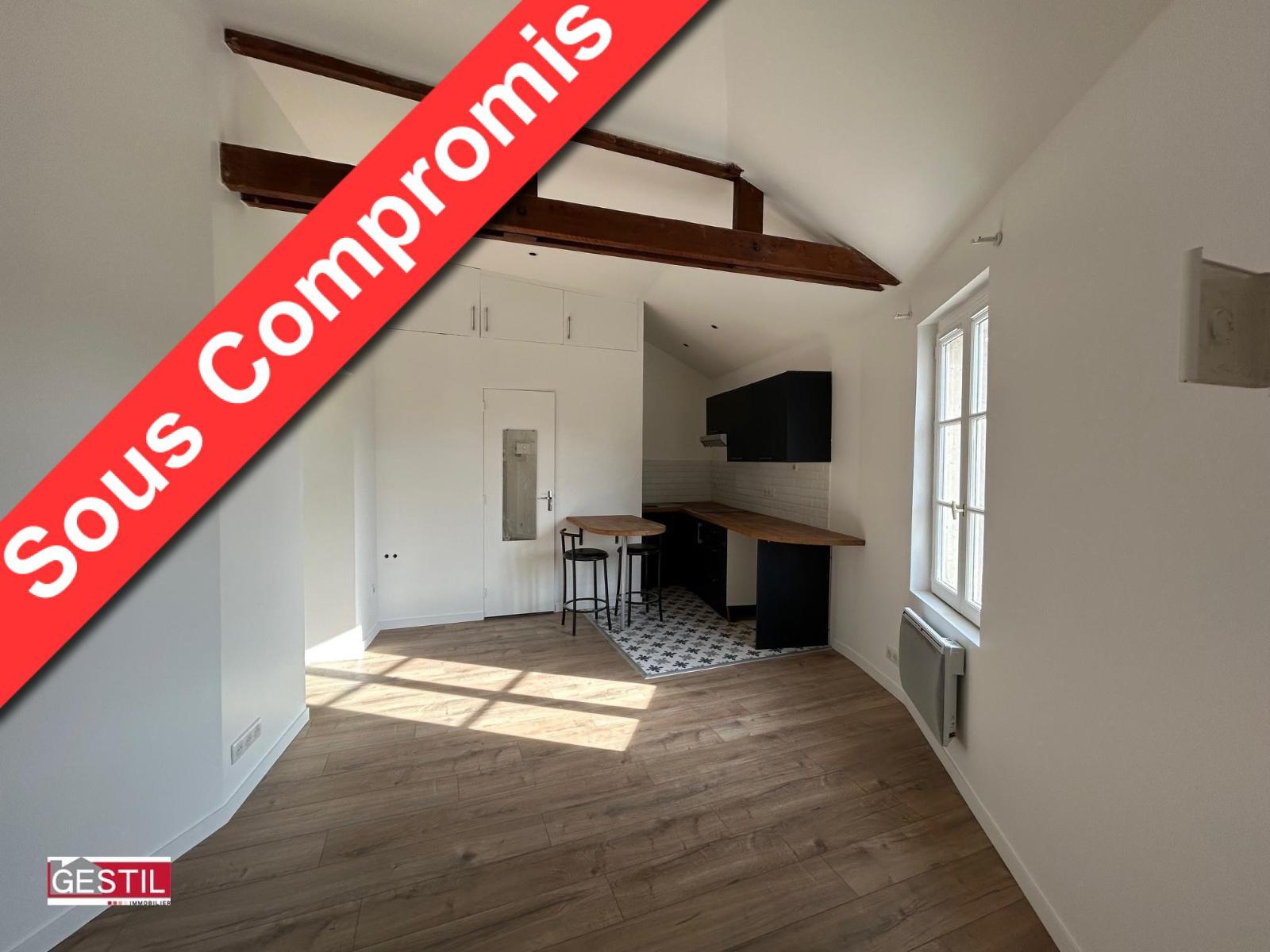 appartement 2 pièces - PONTOISE